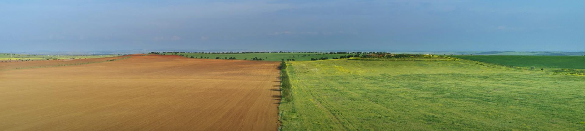 Using organic silica fertiliser to reduce phosphorus tie up