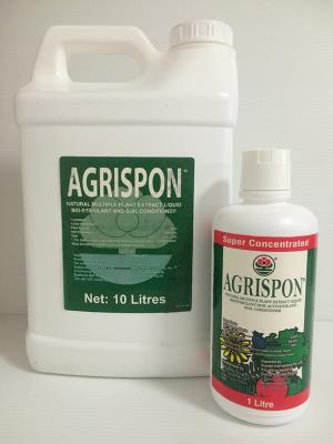 Agrispon organic fertiliser is a bio-stimulant that dramatically improves plant performance and/or yield. 