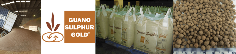 Madura Guano Sulphur Gold is a granulated, airseeder-friendly 100% organic fertiliser.