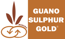 Guano Sulphur Gold