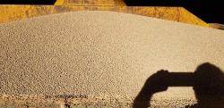 The stockpile of Guano Sulphur Gold granular organic fertilizer in Queensland.