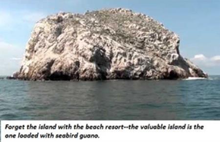 Guano island