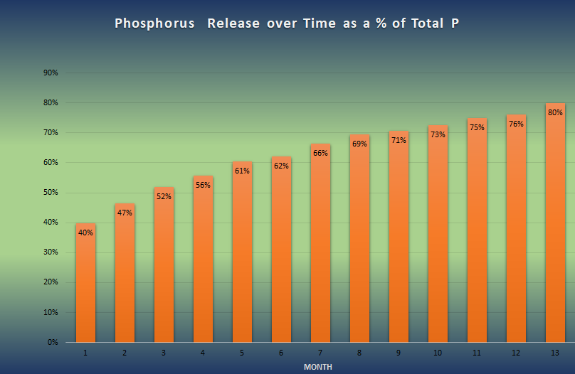 Phosphorus release over time for Guano Gold organic fertilizer, shown as a percentage of the total phosphorus.