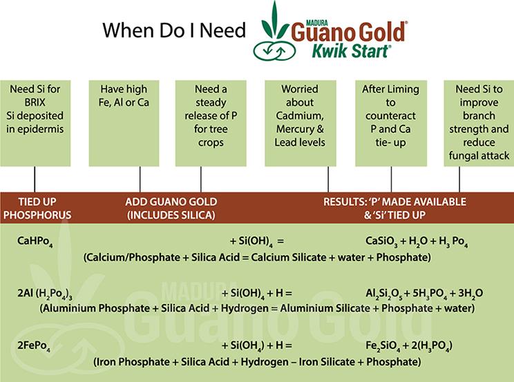 A chart showing optimum times for the use of Guano Gold Kwik Start organic fertiliser.